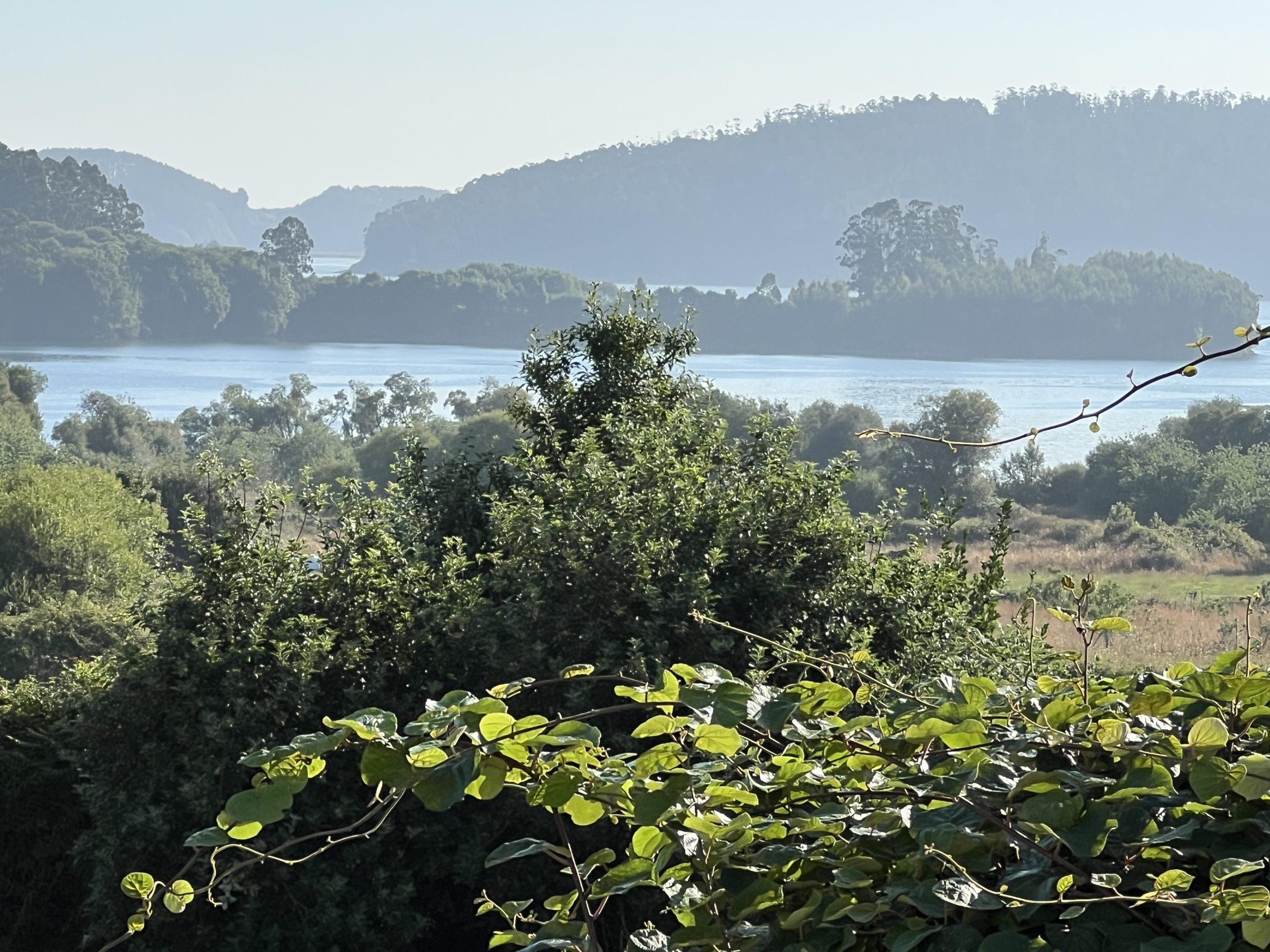 The best investment on Earth is earth.